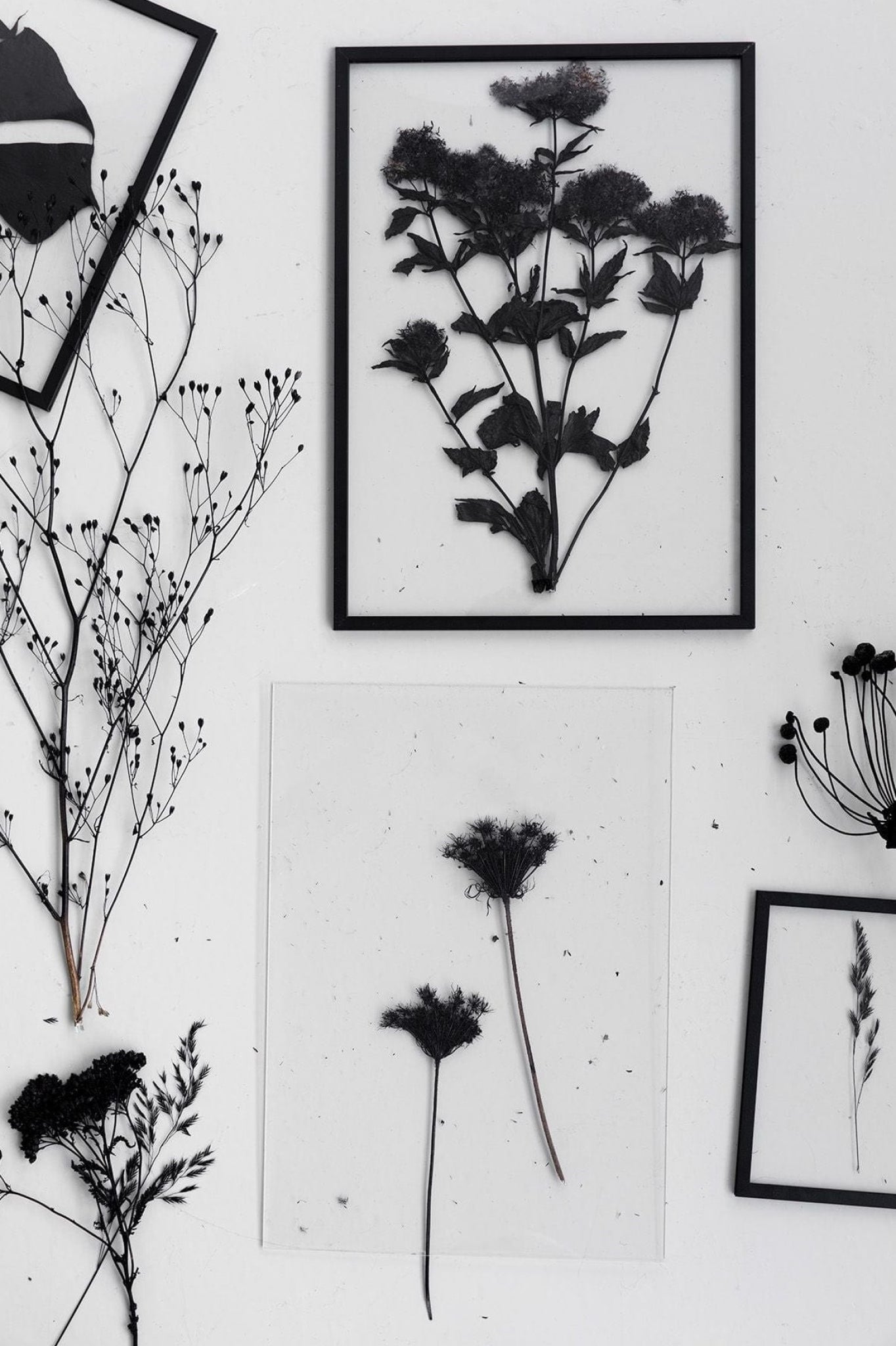 Sleek Moebe A3 Black Frame: Durable Aluminum & Acrylic Design, Made in Europe