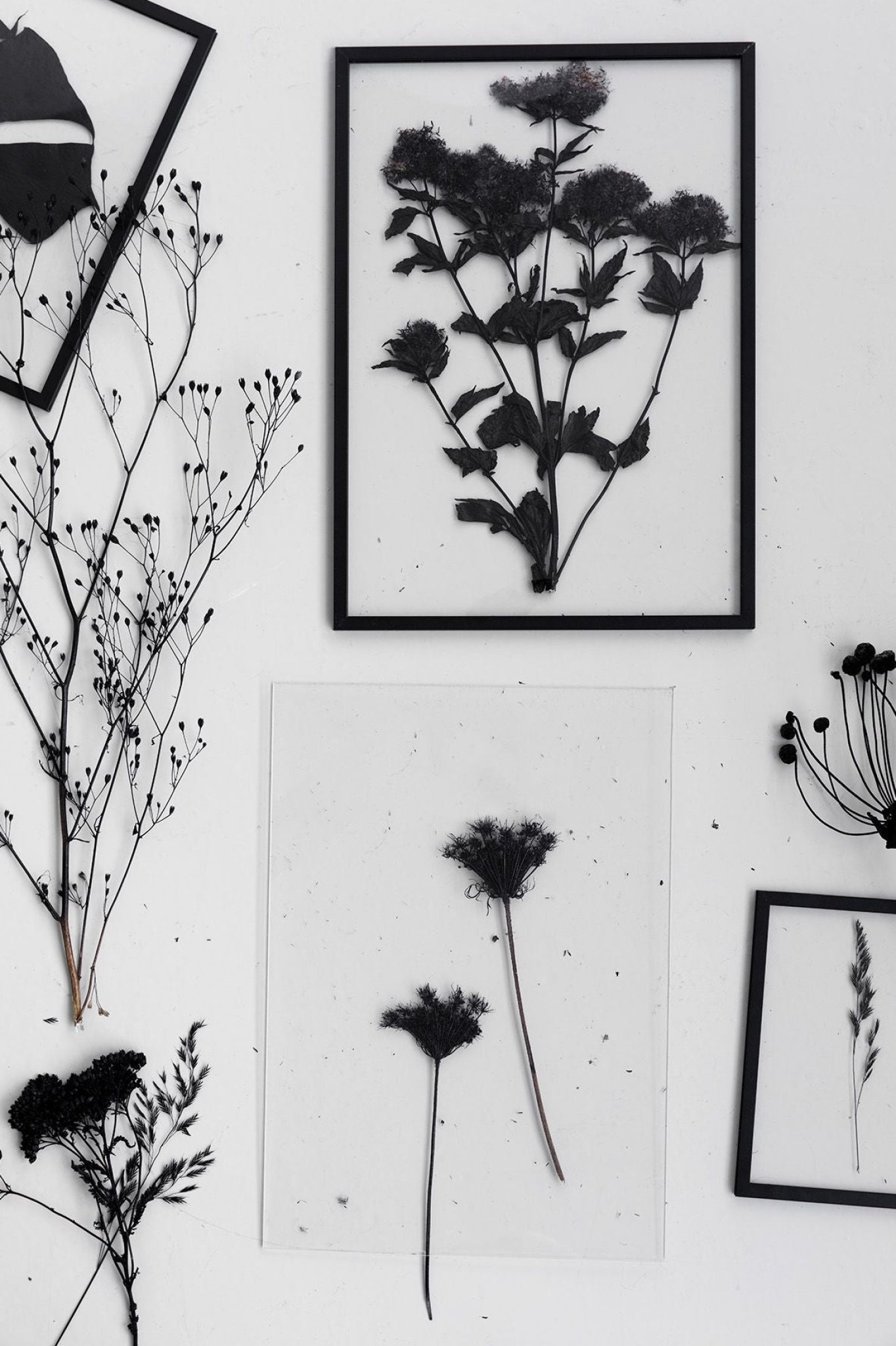 Sleek Moebe A5 Black Frame: Durable Aluminum & Acrylic Design, Made in Europe