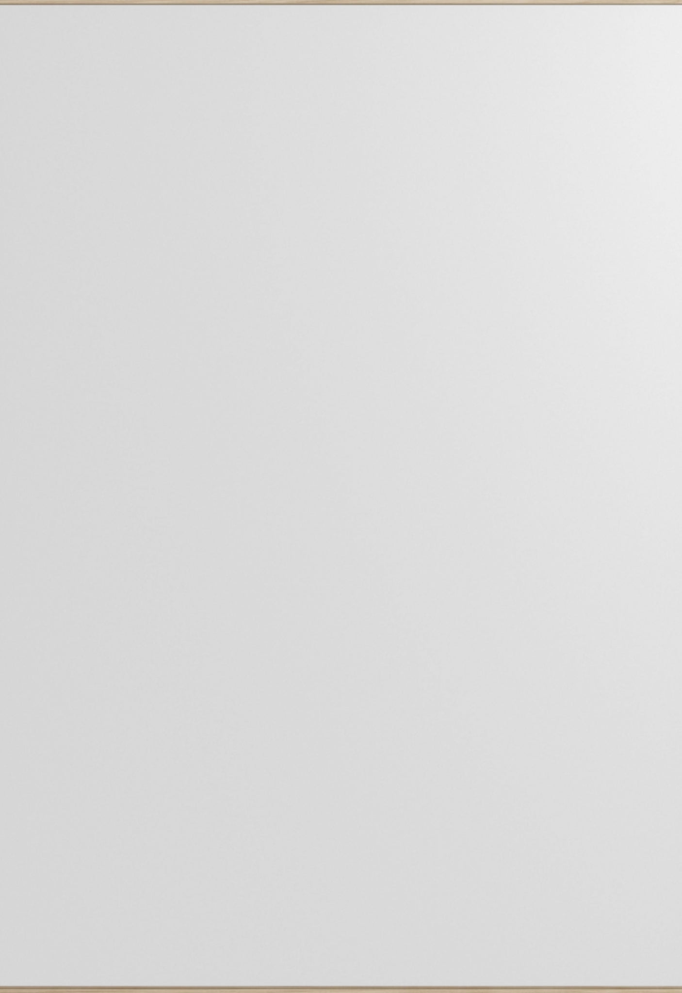 Minimalist Moebe Rectangular Wall Mirror in Ash - 101.8x70 cm