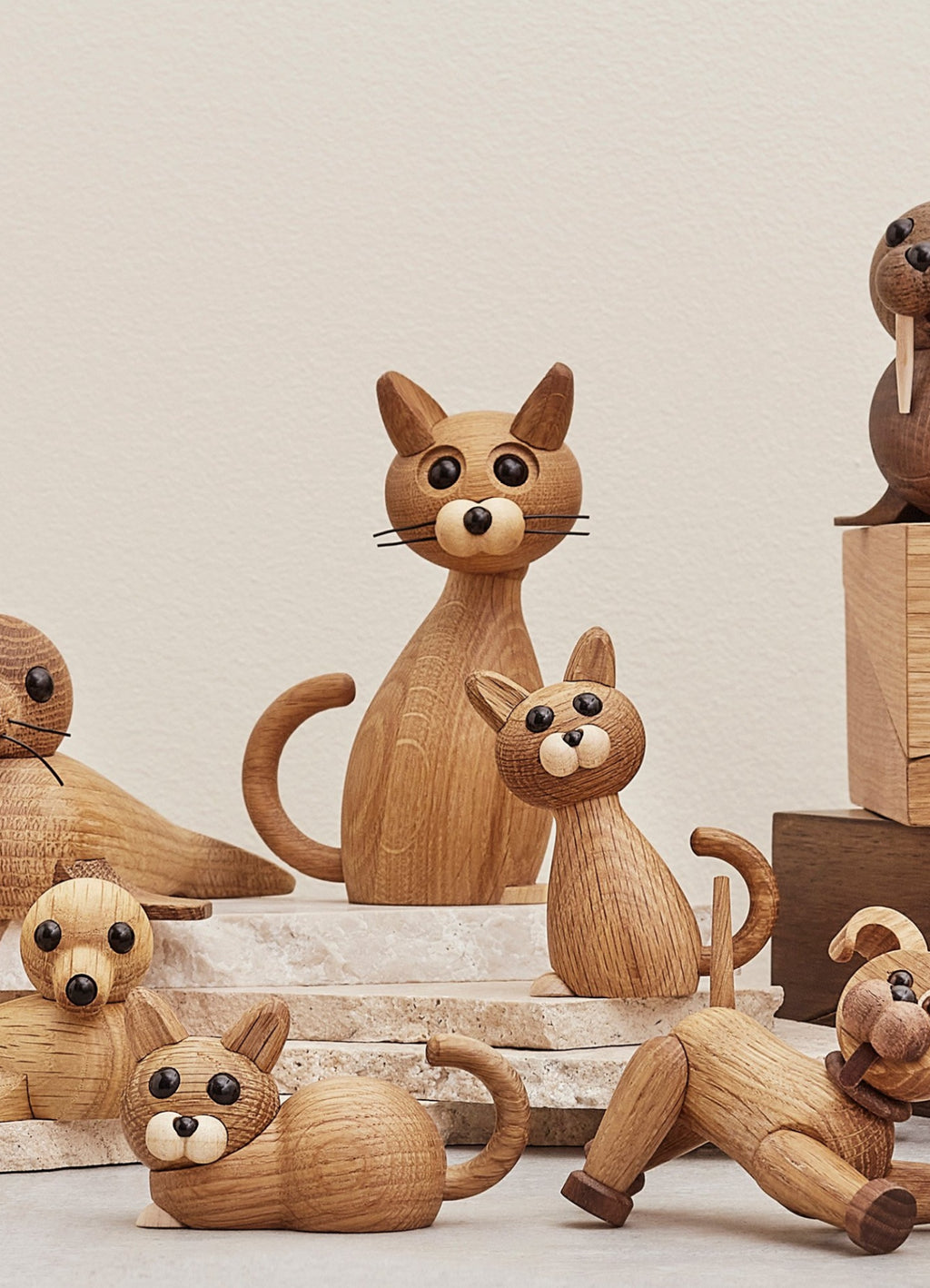 Spring Copenhagen The Cat Lucky