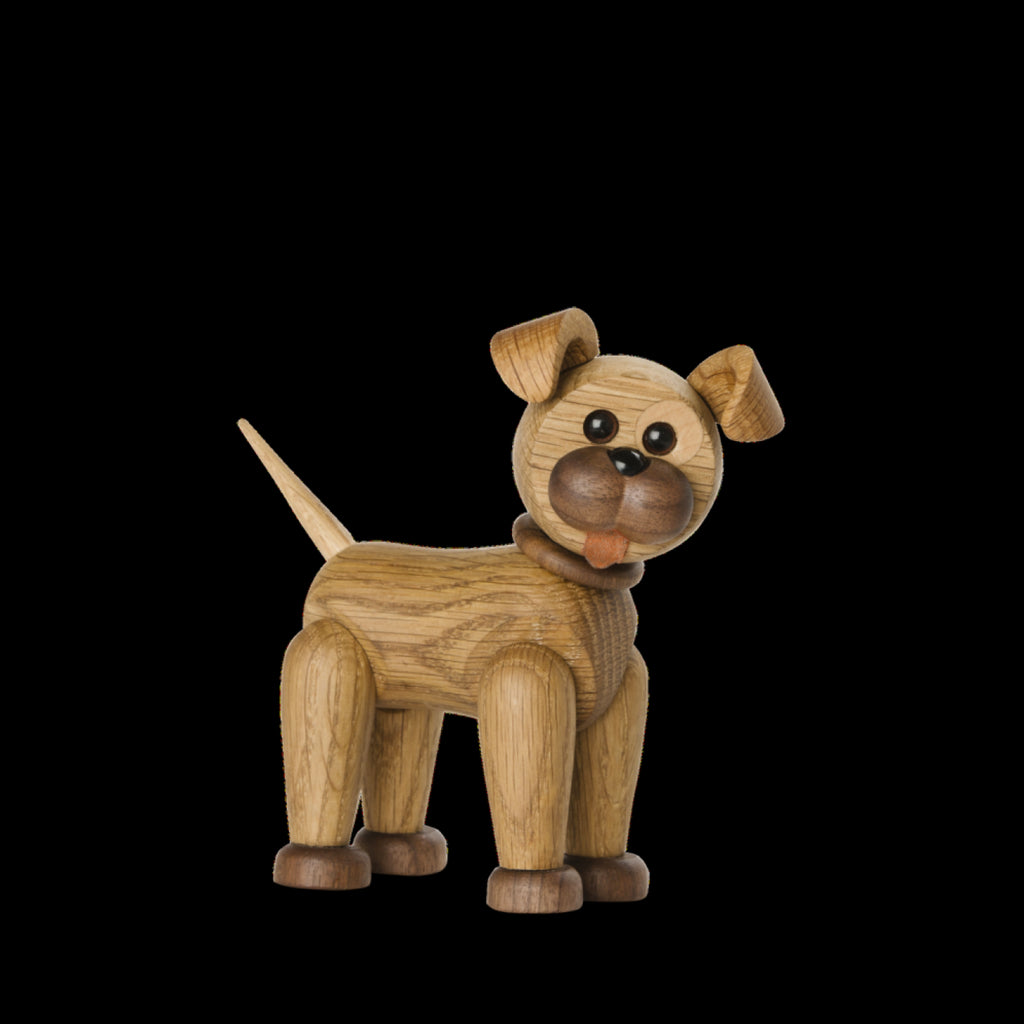 Spring Copenhagen The Dog Happy