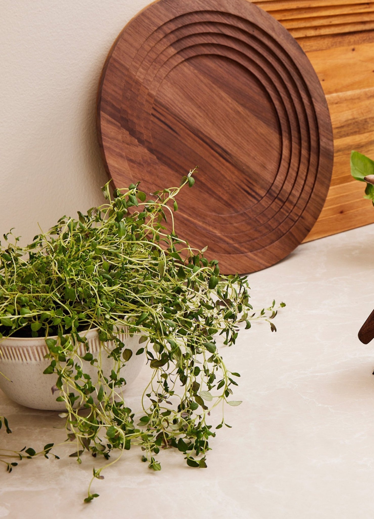 Spring Copenhagen Colosseum, Amfi