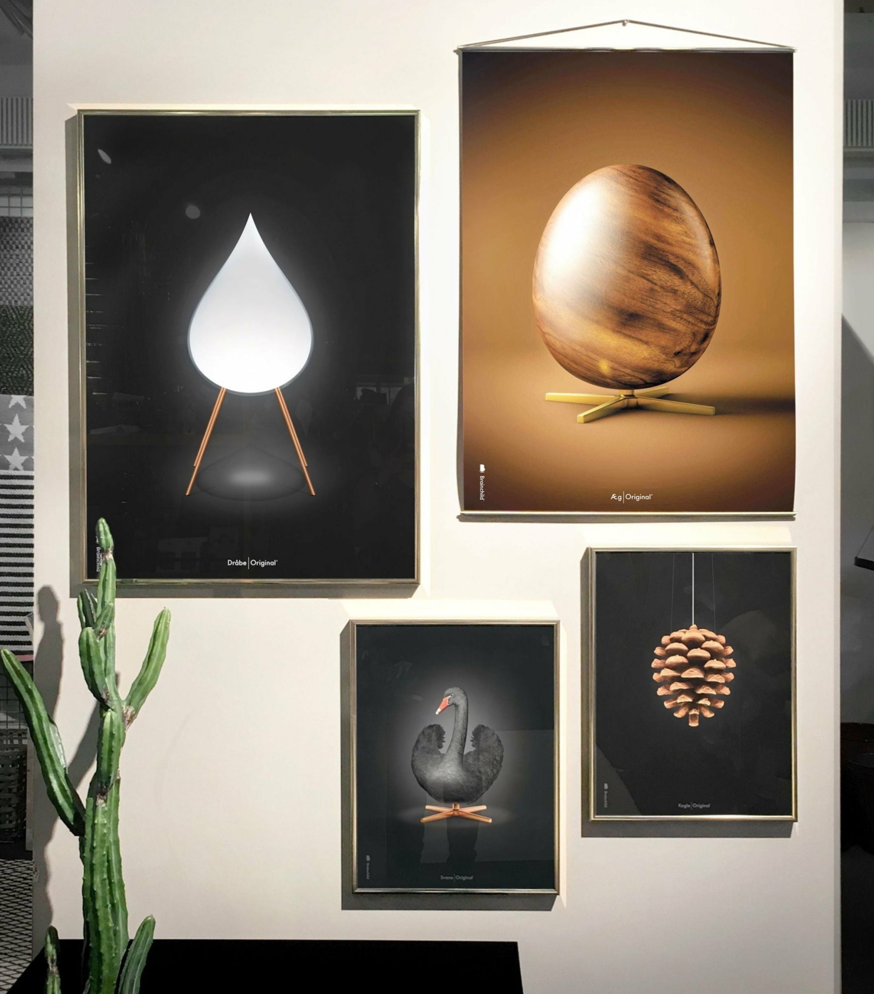 Brainchild pine cone classic poster, frame in black lacquered wood 30x40 cm, black background