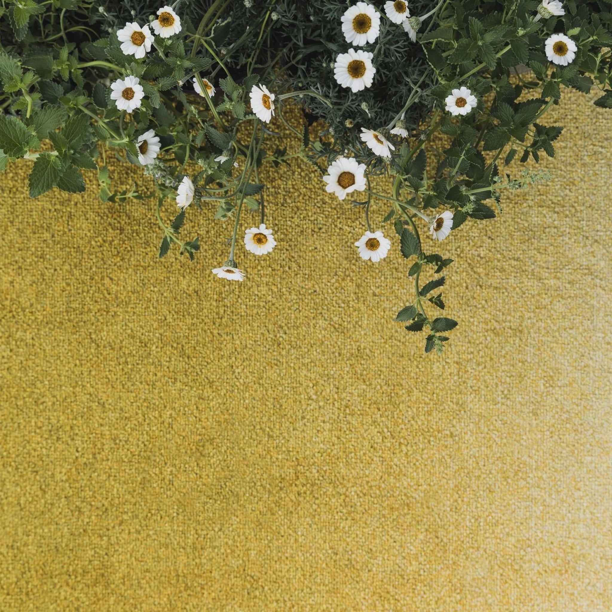 Heymat Doormat Dis Moss, 60x85 Cm