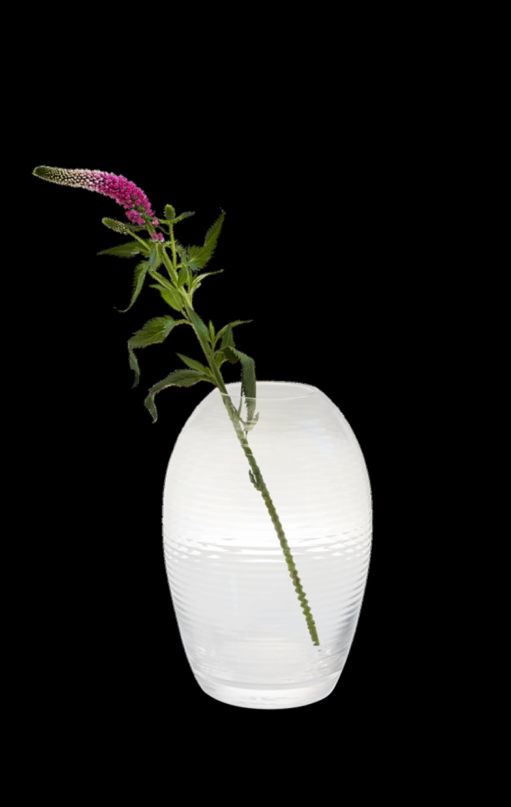 Spring Copenhagen Laine Oval Vase