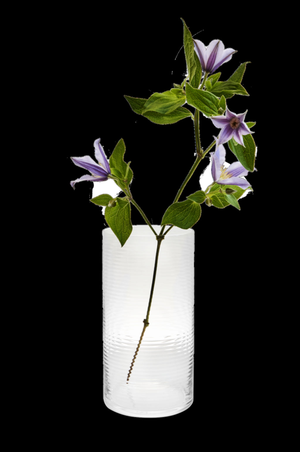 Spring Copenhagen Laine Cylindrical Vase