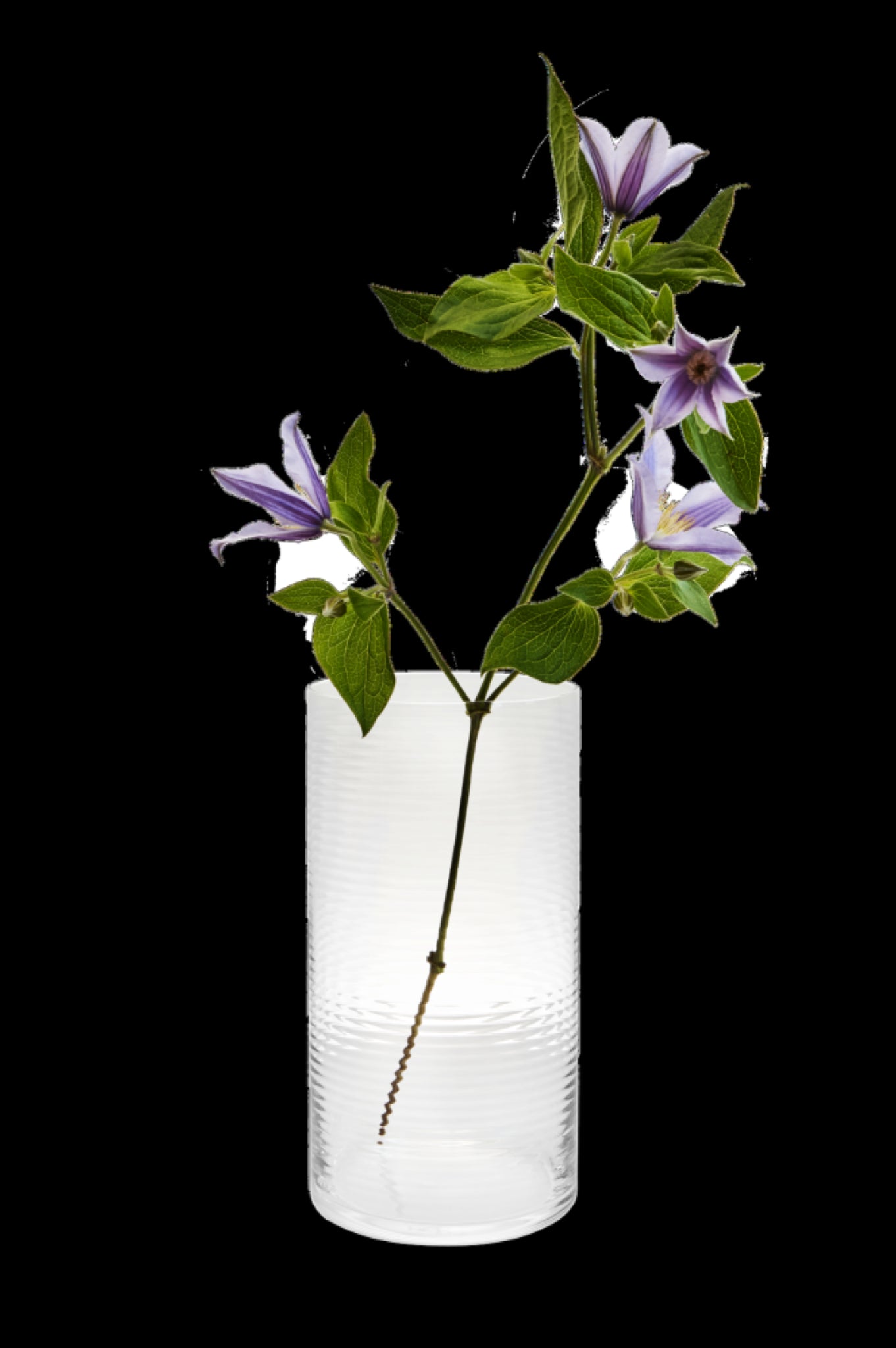 Spring Copenhagen Laine Cylindrical Vase