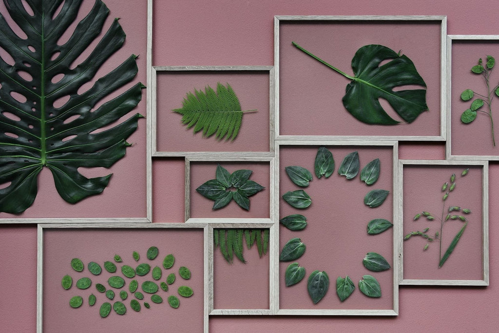 Moebe Frame 50x70 cm Oak - Stylish Acrylic Glass Frame Made in Europe