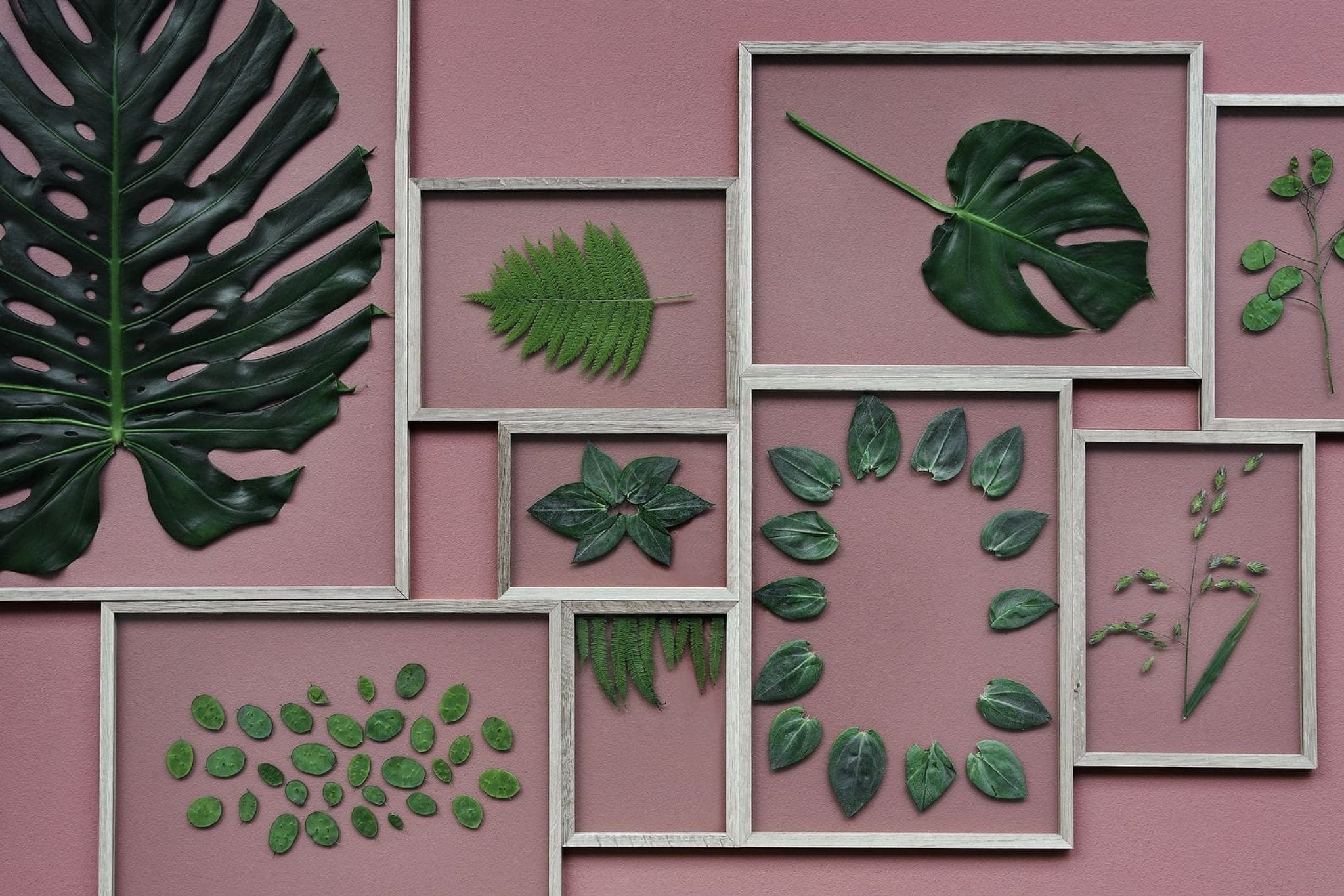 Moebe A4 Oak Frame: Stylish Acrylic & Oak Design, Made in Europe