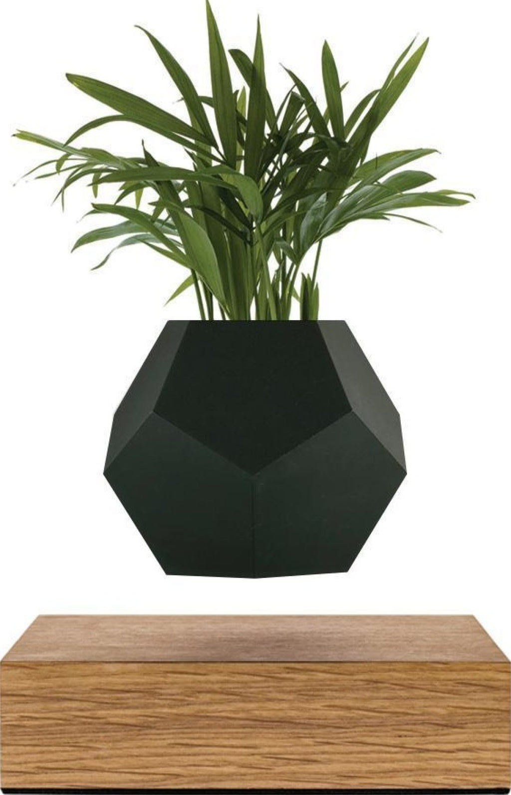 Flyte Lyfe Case, Black