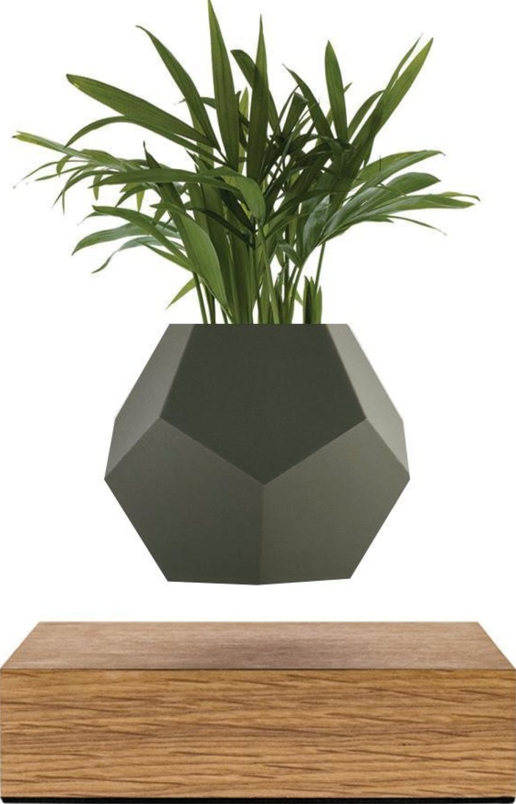 Flyte Lyfe Case, Grey