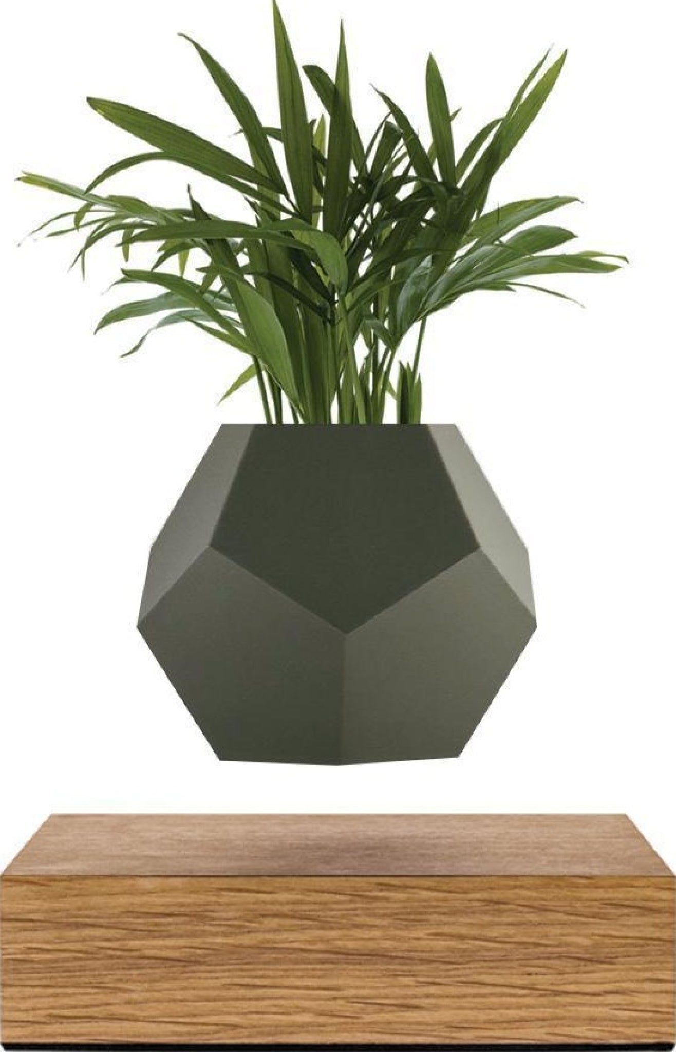 Flyte Lyfe Case, Grey