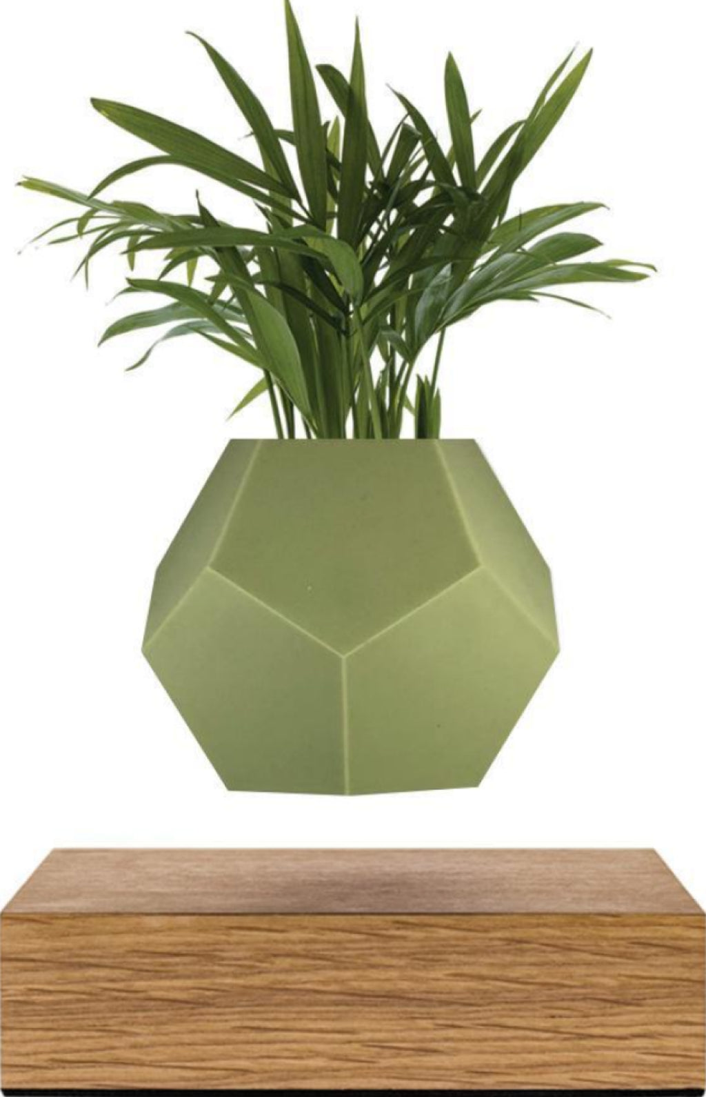 Flyte Lyfe Case, Olive