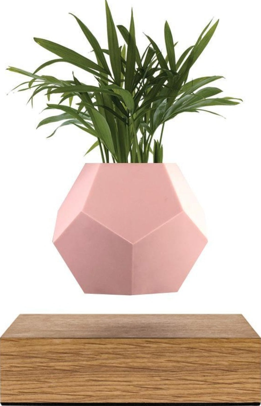 Flyte Lyfe Case, Pink