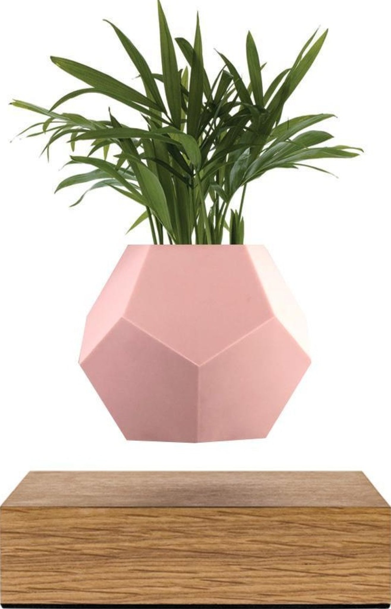 Flyte Lyfe Case, Pink