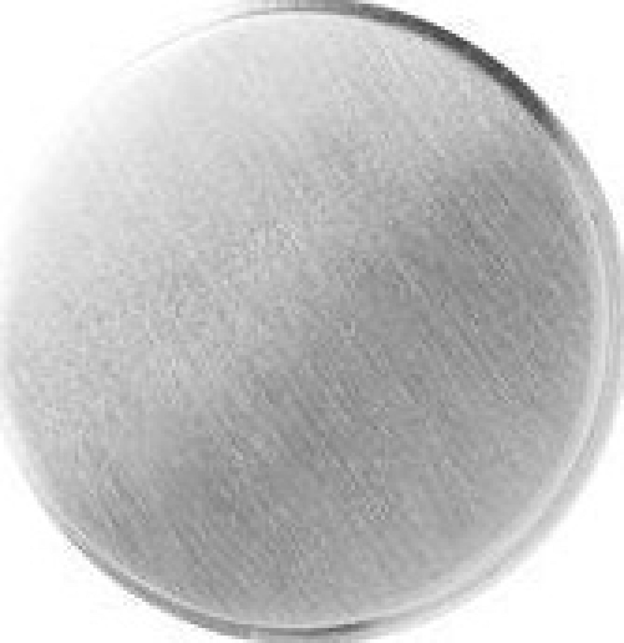 Ferm Living Hook Hook, Stainless Steel ø5 Cm