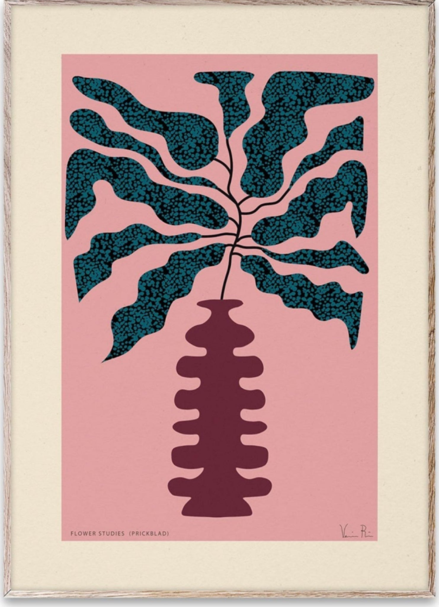 Paper Collective Flower Studies 01 (prickblad) Poster, 50x70 Cm