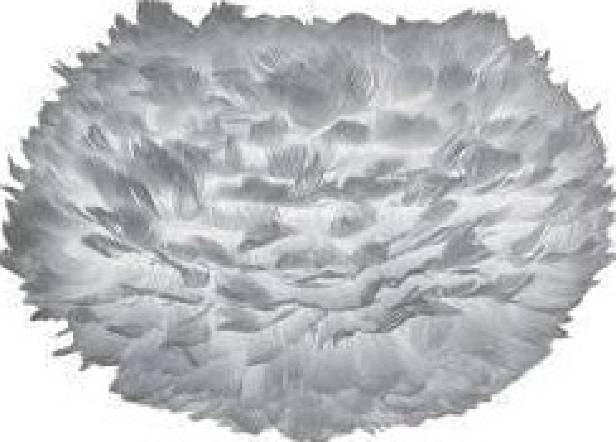 Umage Eos Lampshade Light Grey, ø22