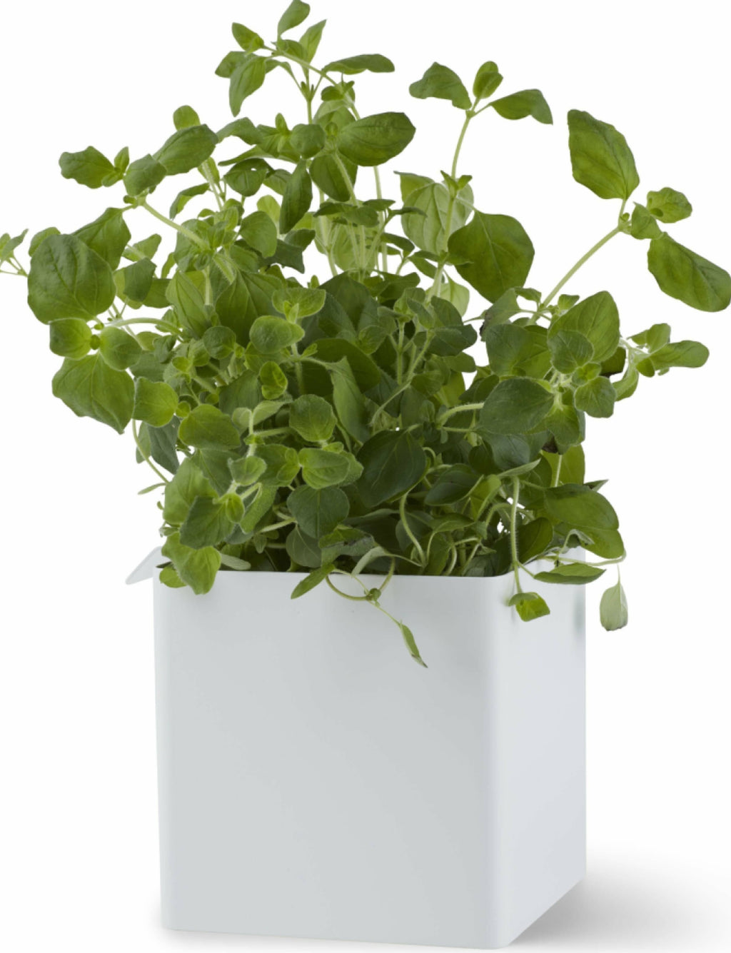 Gejst Flex Small Box White 10.5cm - Magnetic Rail Storage Accessory