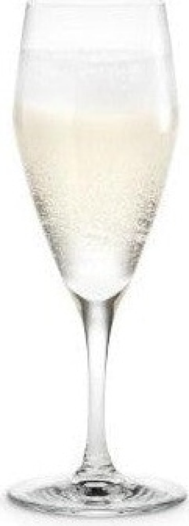 Holmegaard Perfection Champagne Glass, 6 Pcs.