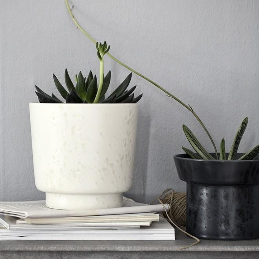 Kähler Ombria Plants Granite Green, Small