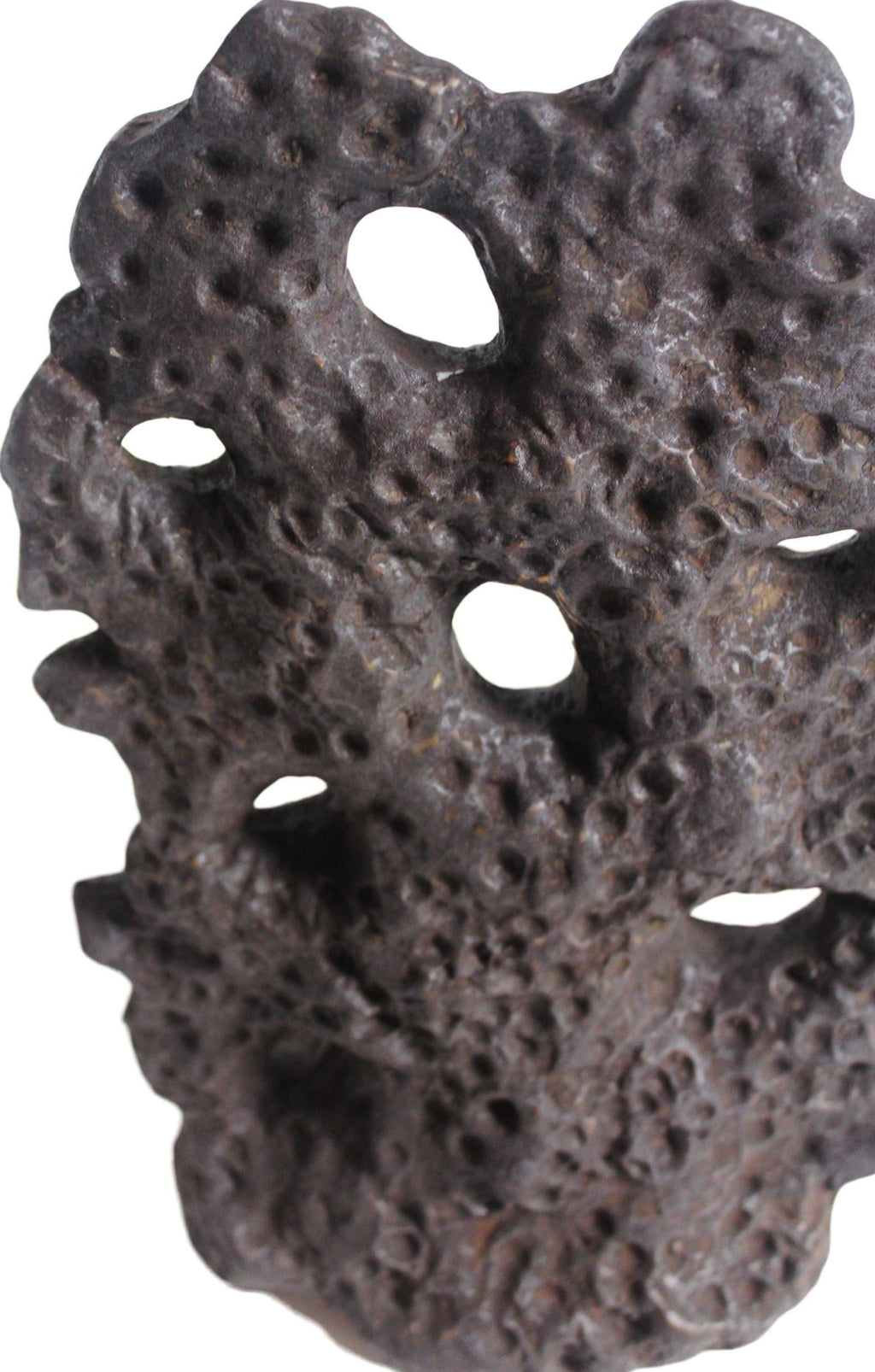 Muubs Soil Sculpture Chocolate, Large