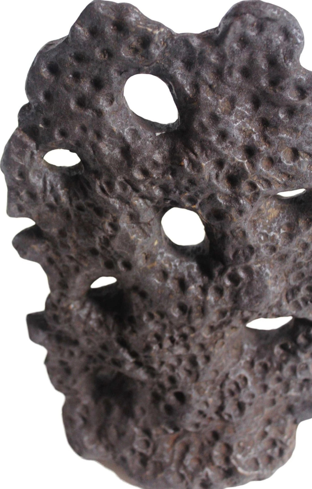 Muubs Soil Sculpture Chocolate, Large