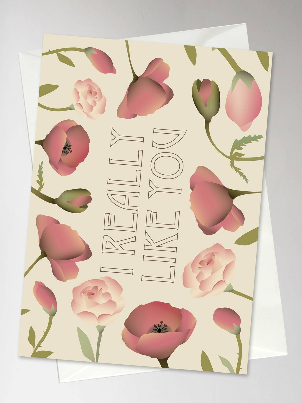 Vissevasse I Really Like You Greeting Card, 10,5x15cm