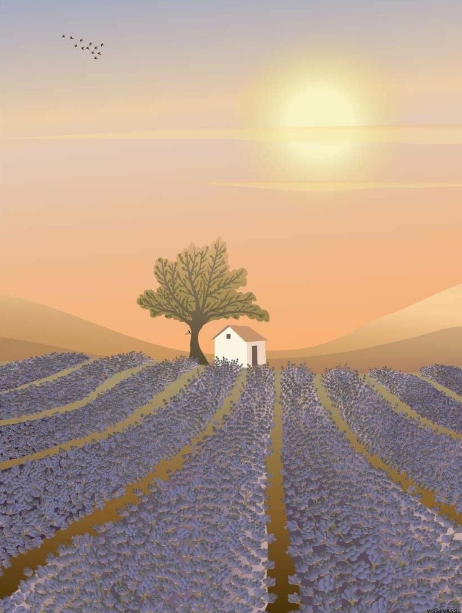 Vissevasse Lavender Field Mini Card, A7