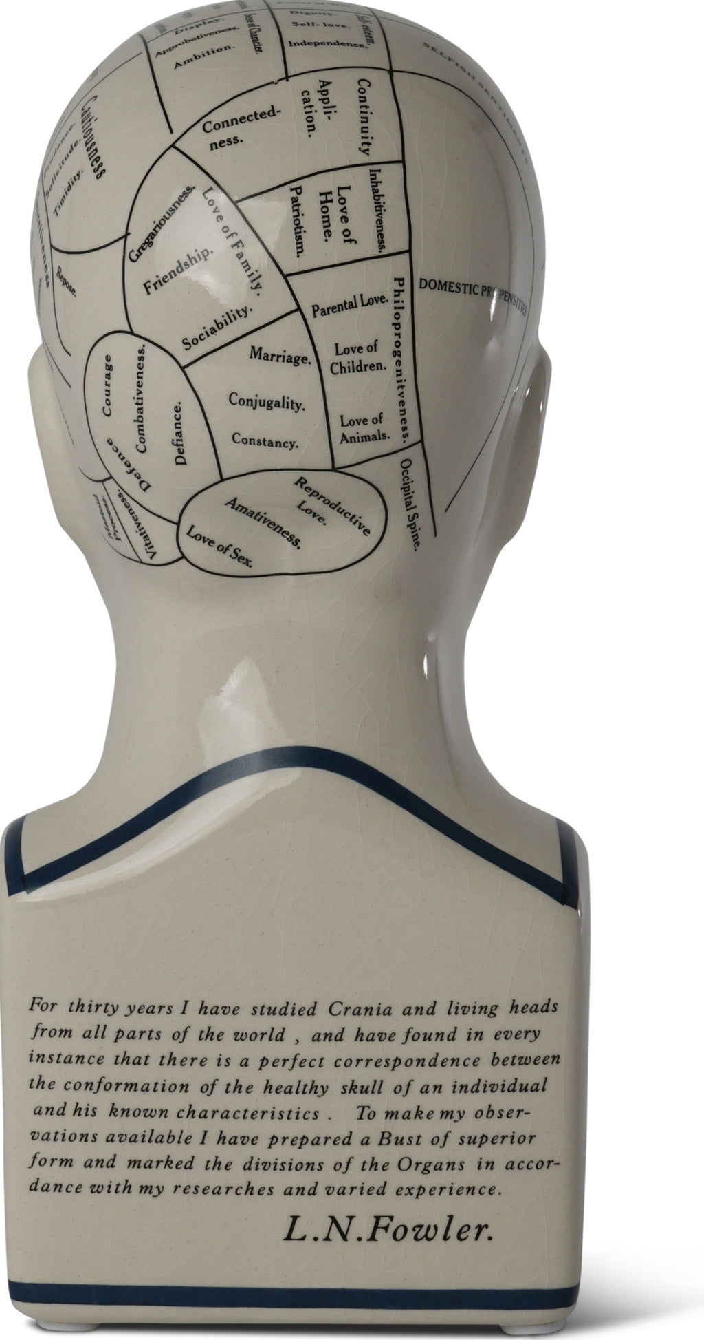 Authentic Models Phrenological Head