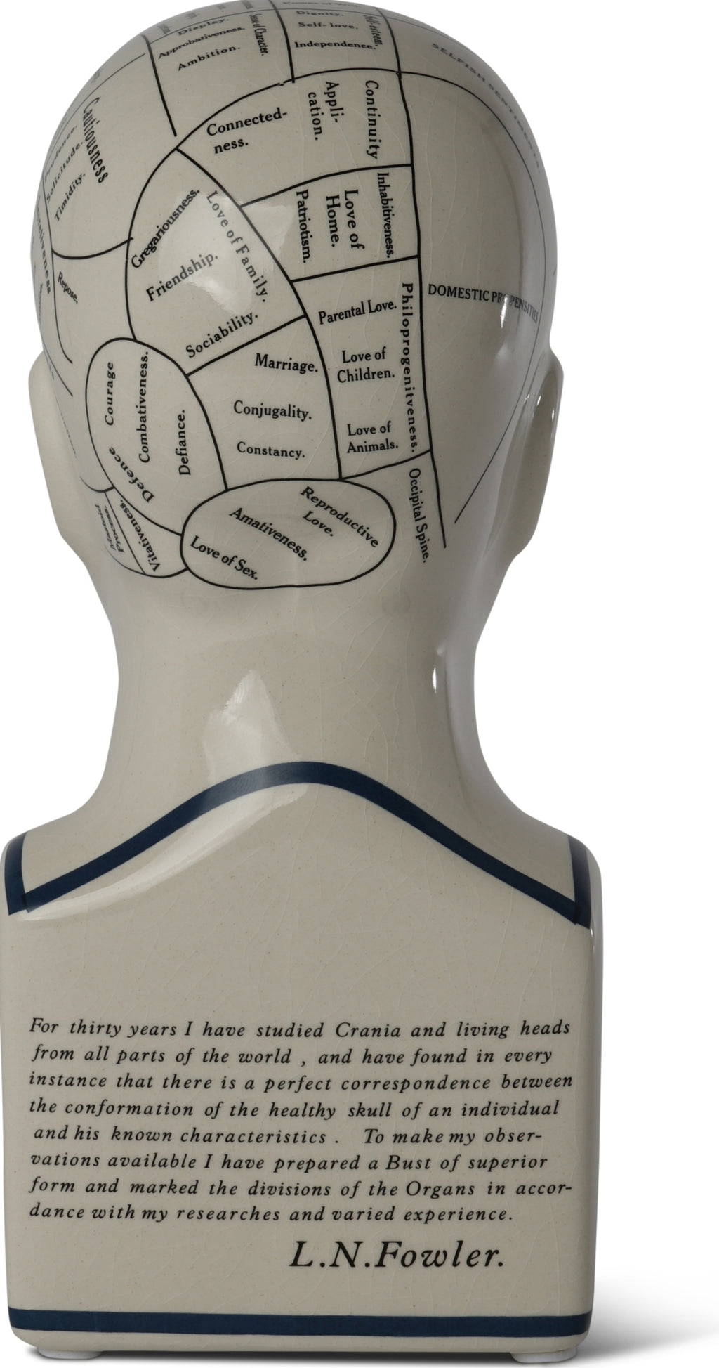 Authentic Models Phrenological Head, Small