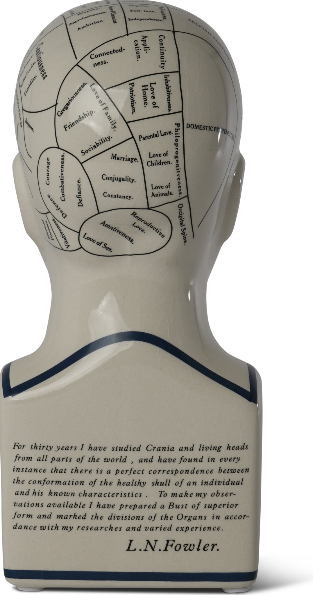 Authentic Models Phrenological Head, Small