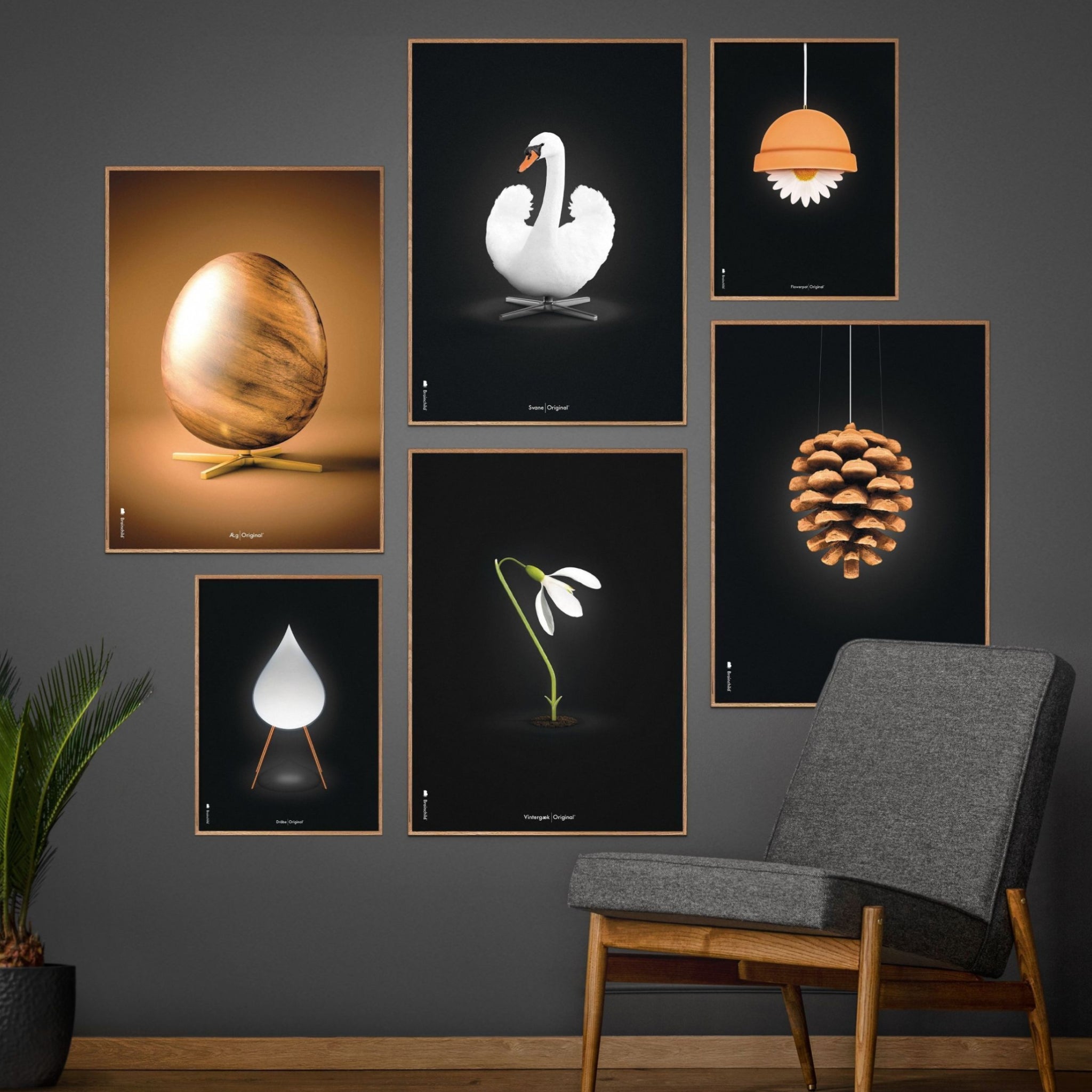 Brainchild Pine Cone Classic Poster, Brass Frame A5, Black Background