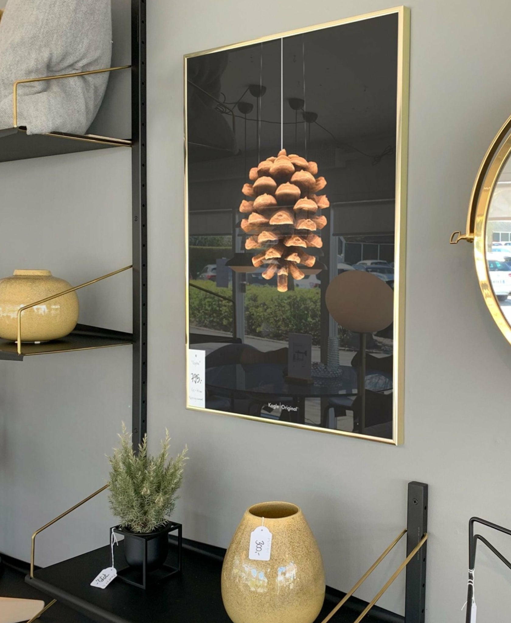 Brainchild pine cone classic poster, frame in black lacquered wood 30x40 cm, black background
