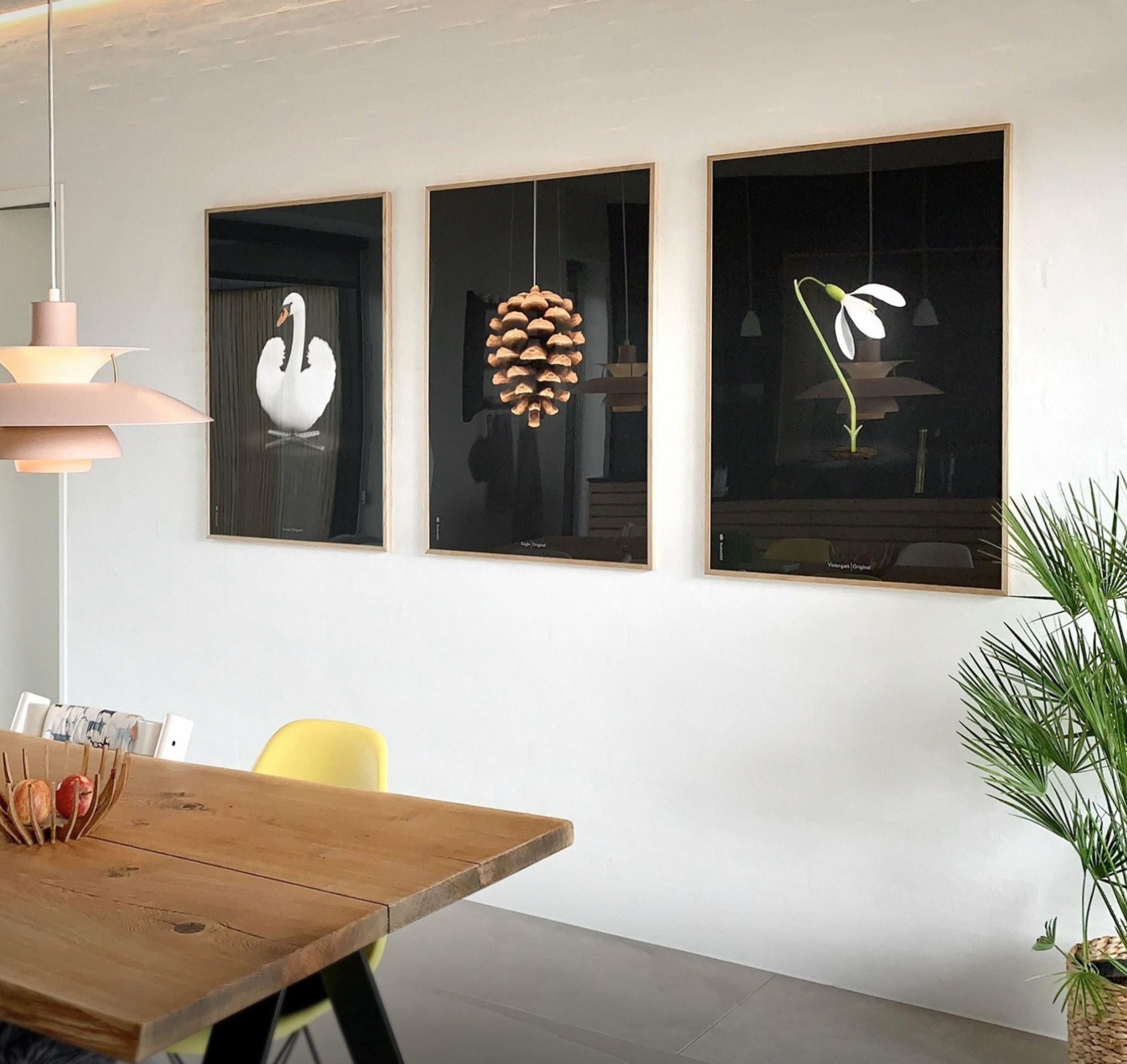 Brainchild pine cone classic poster, frame in black lacquered wood 30x40 cm, black background