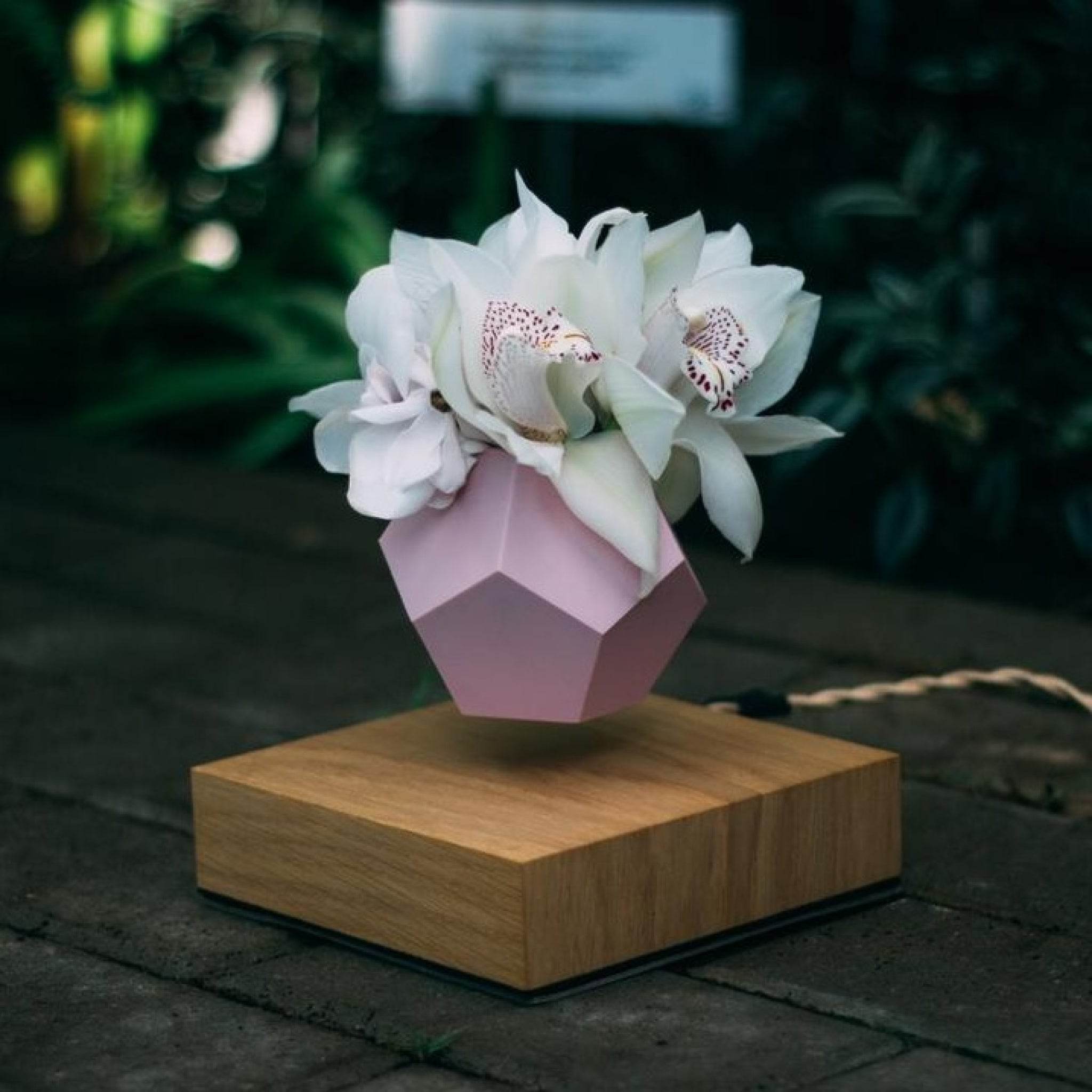 Flyte Lyfe Case, Black