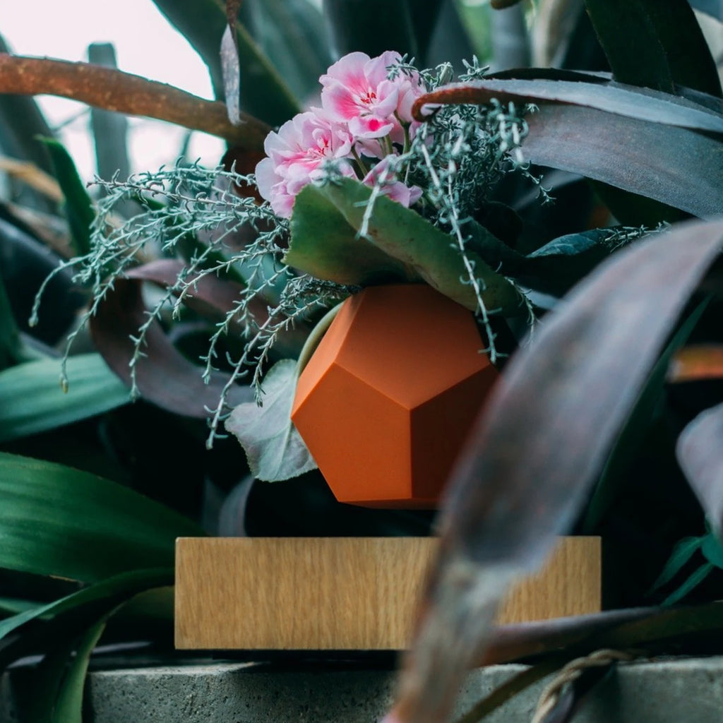 Flyte Lyfe Case, Pink