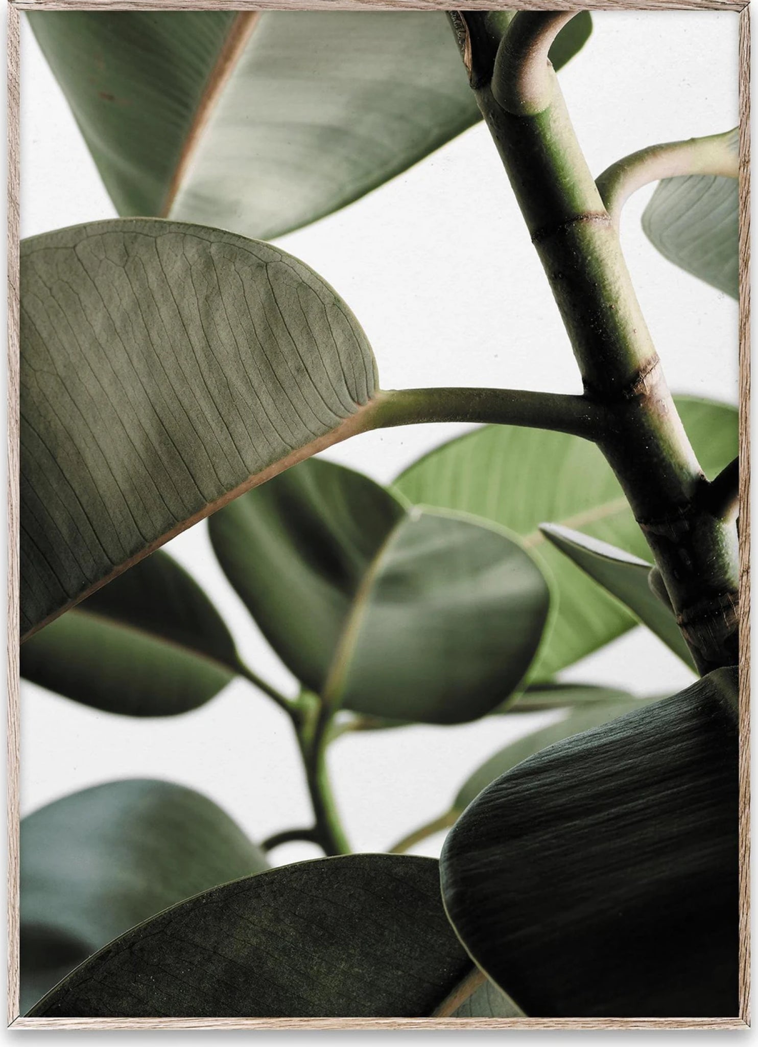 Paper Collective Green Home 03 Poster, 50x70 Cm