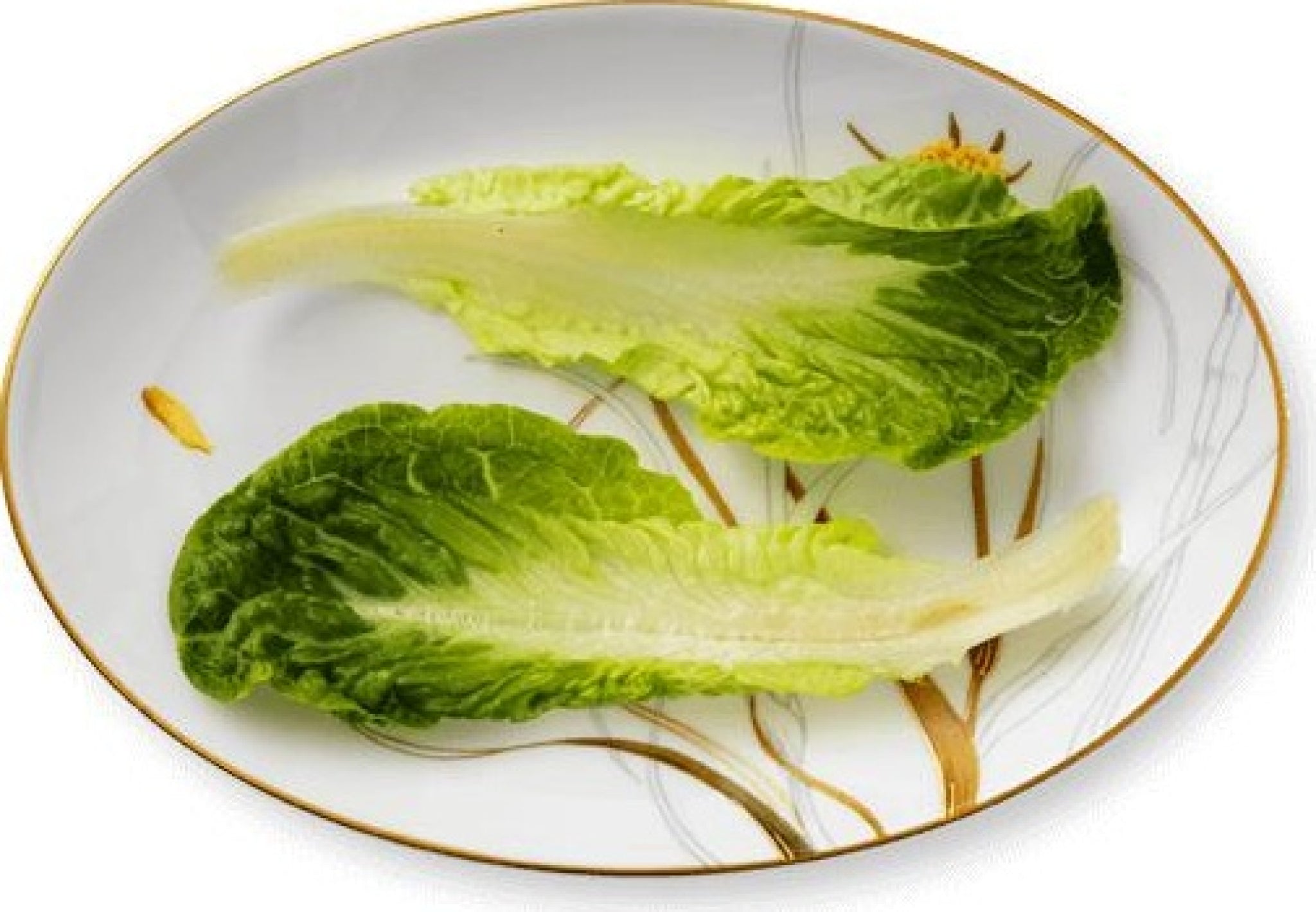 Royal Copenhagen Flora Plate Dandelion, 26cm