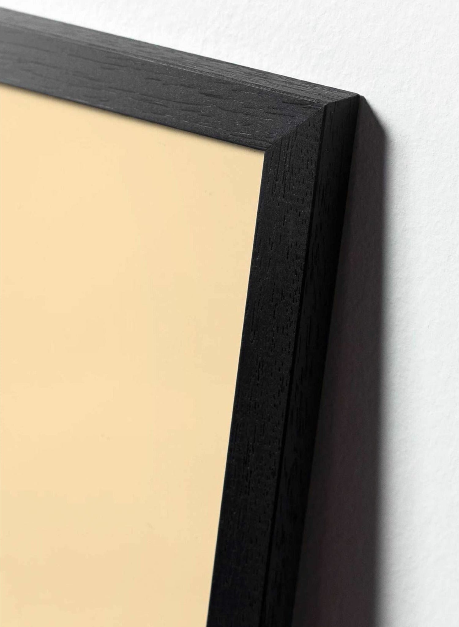 Brainchild pine cone classic poster, frame in black lacquered wood 30x40 cm, black background