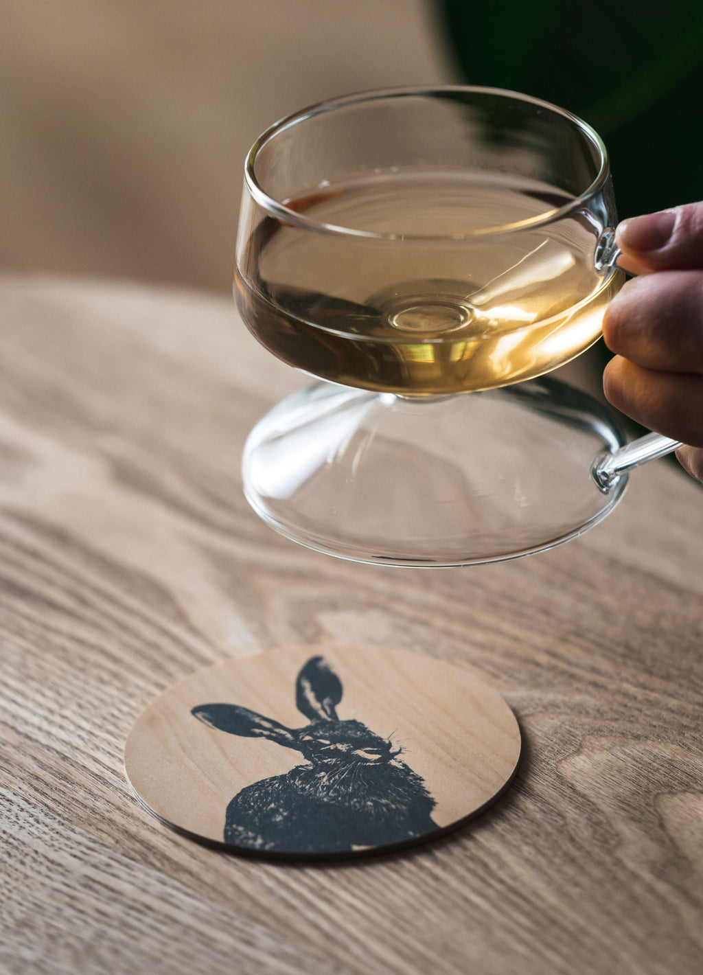 Muurla Coaster, The Hare