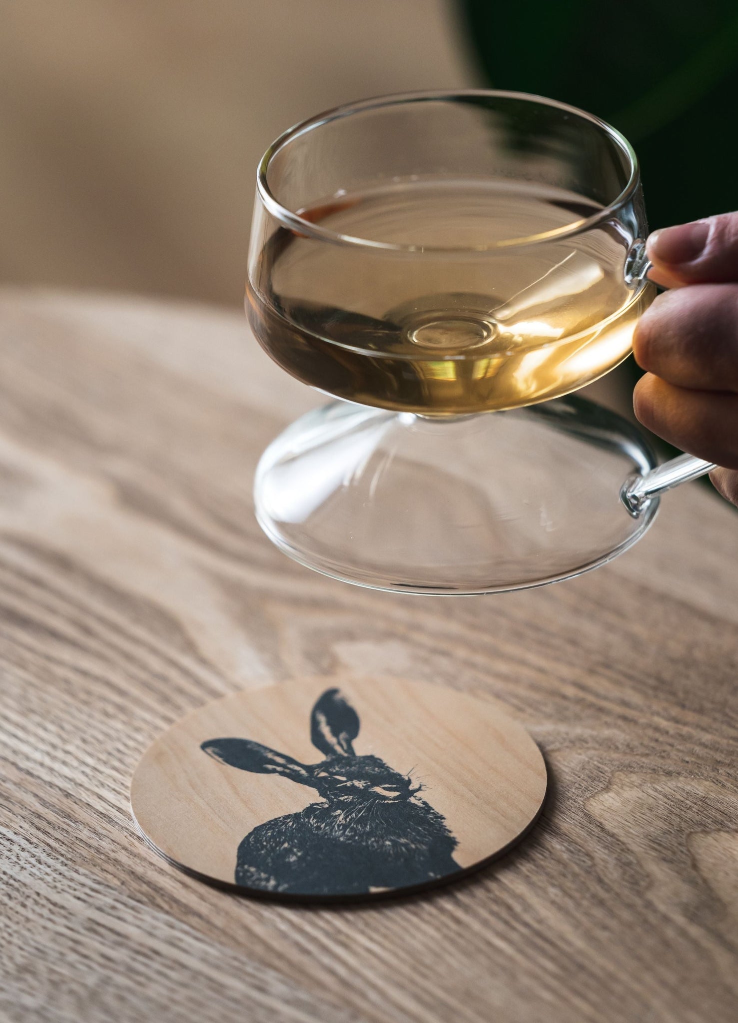 Muurla Coaster, The Hare
