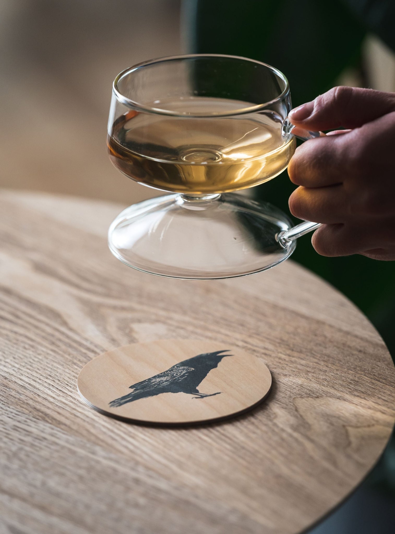 Muurla Coaster, The Raven