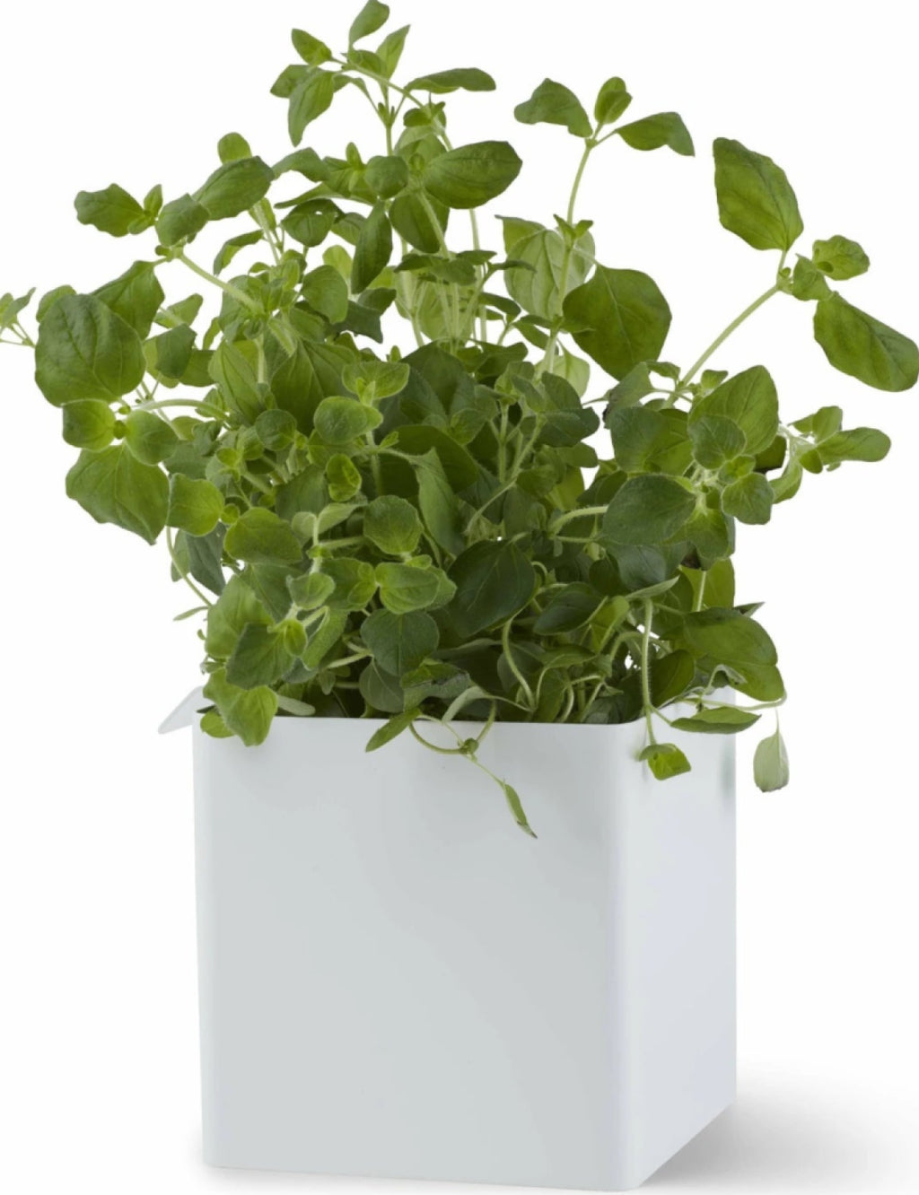 Gejst Flex Small Box White 10.5cm - Magnetic Rail Storage Accessory