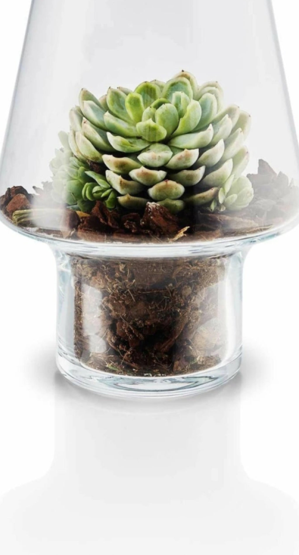 Eva Solo Sukkulenten-Glasvase, Ø15 Cm
