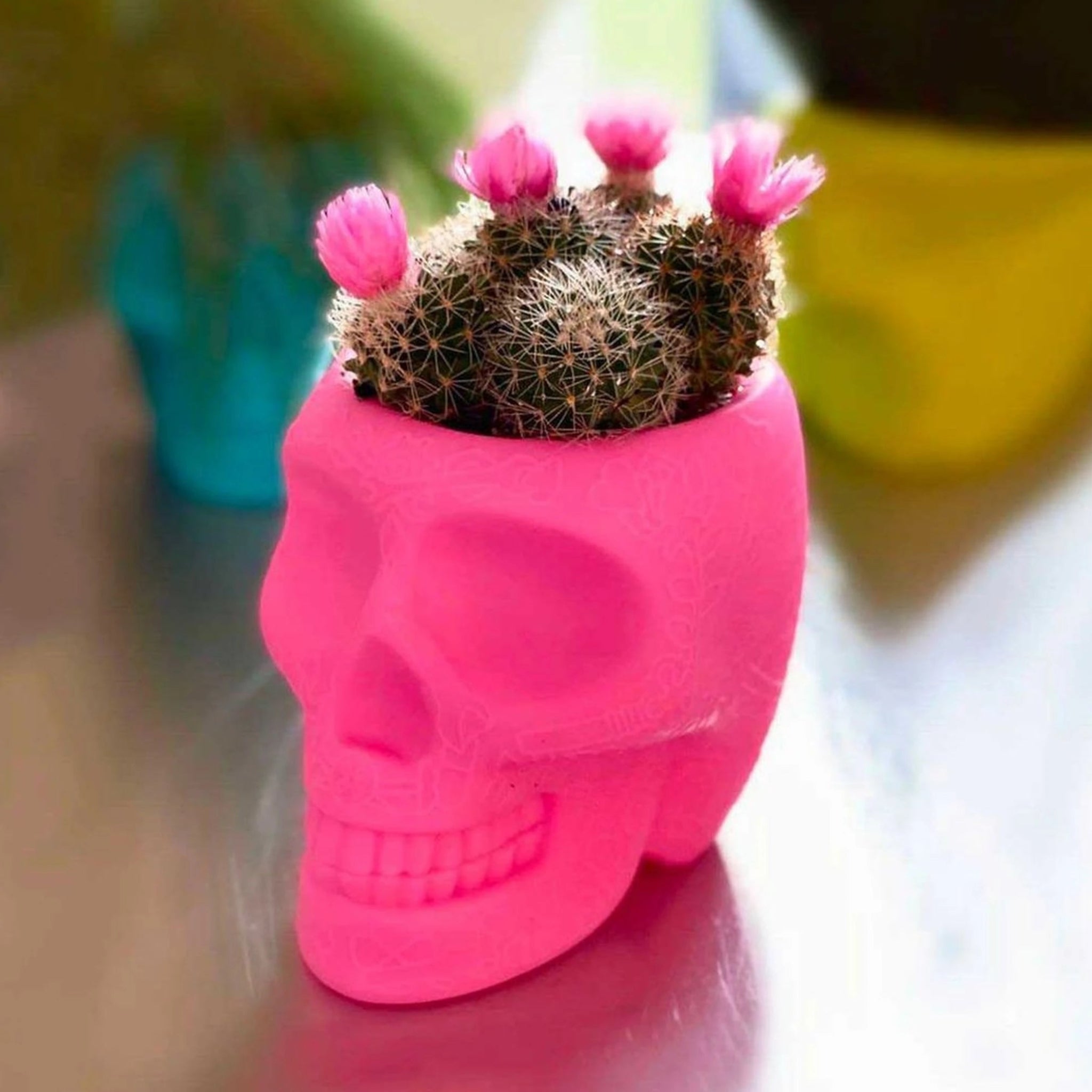 Qeeboo Mexico Planter And Pen Holder Xs, Light Mauve