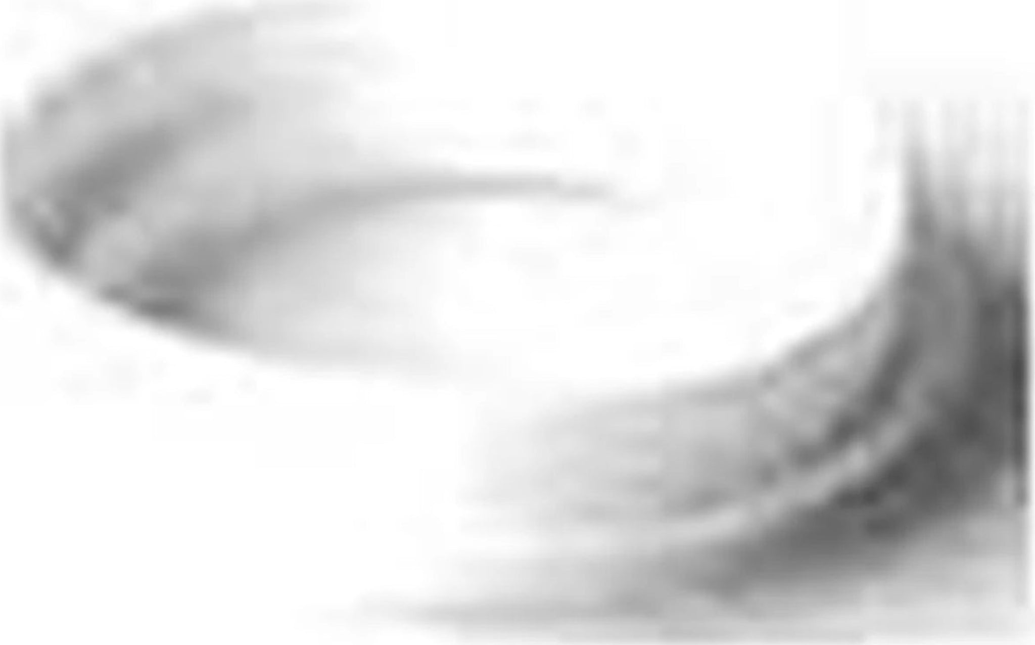 Alfi Juwel Gasket Ring. White