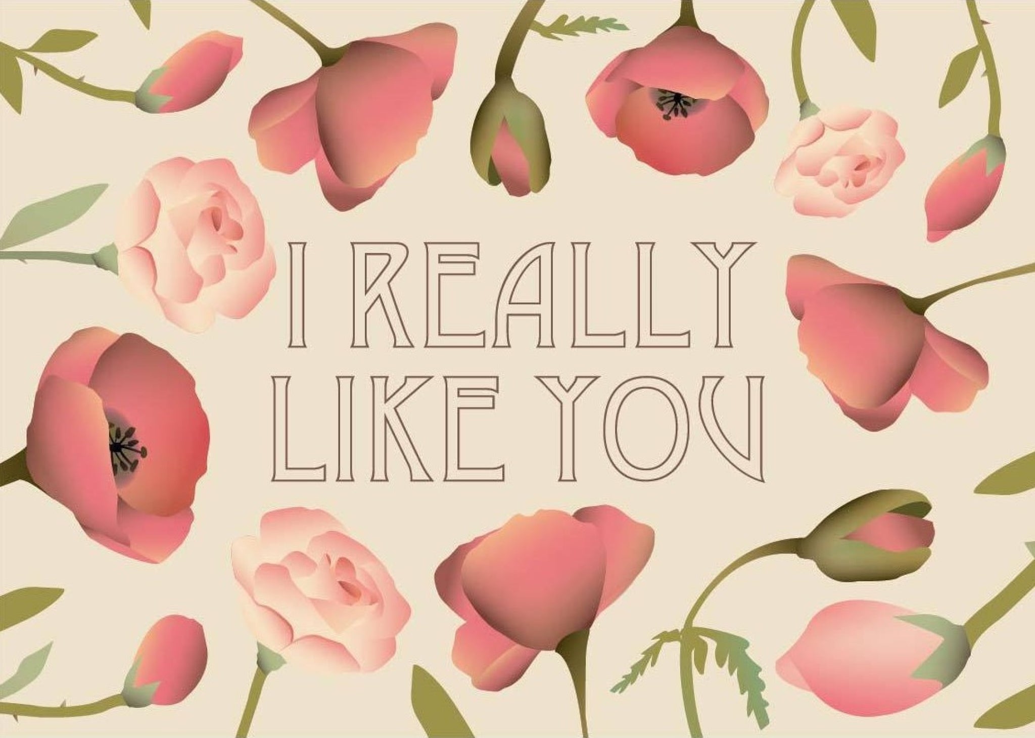 Vissevasse I Really Like You Greeting Card, 10,5x15cm