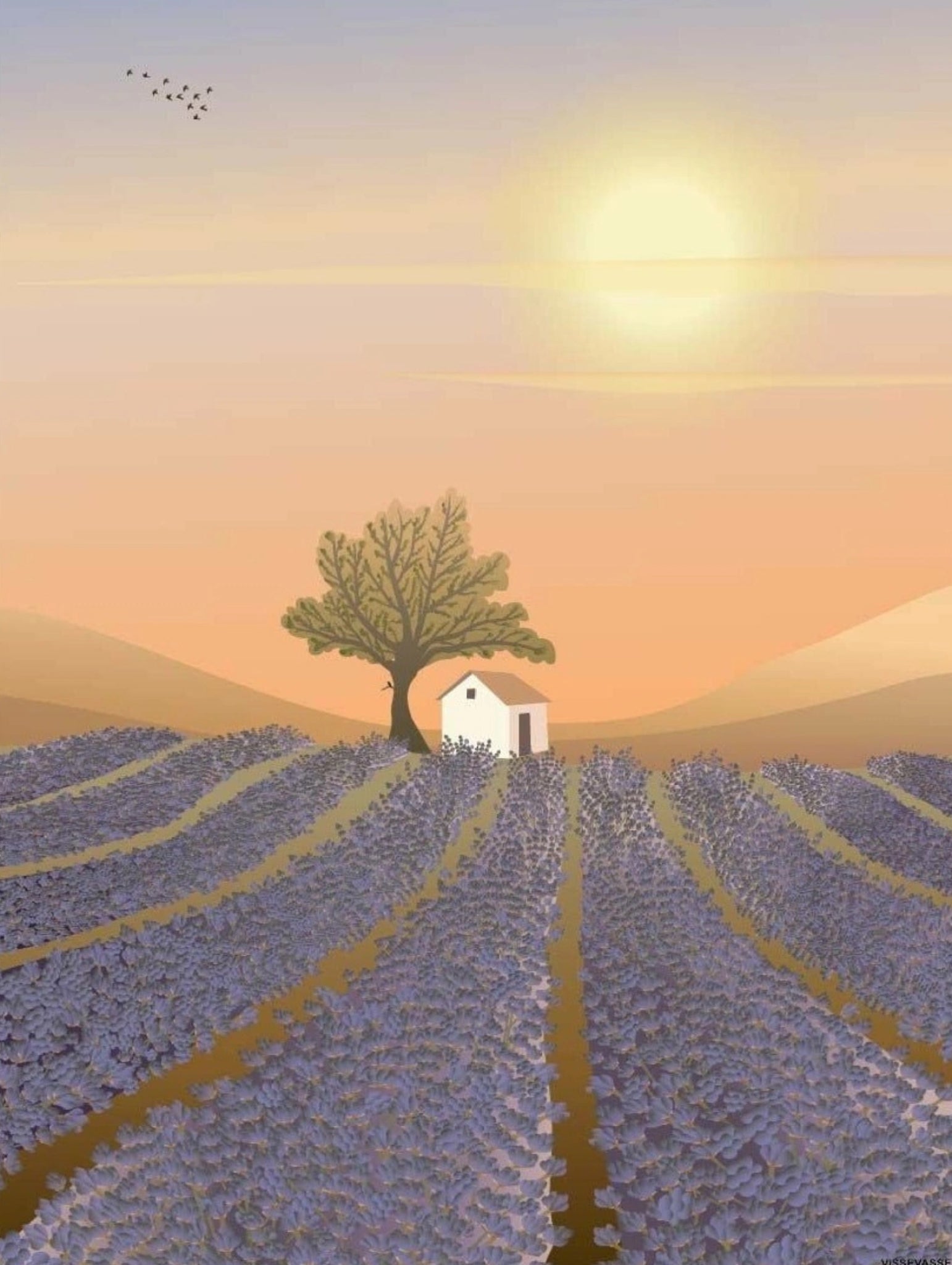 Vissevasse Lavender Field Poster, 15x21 Cm