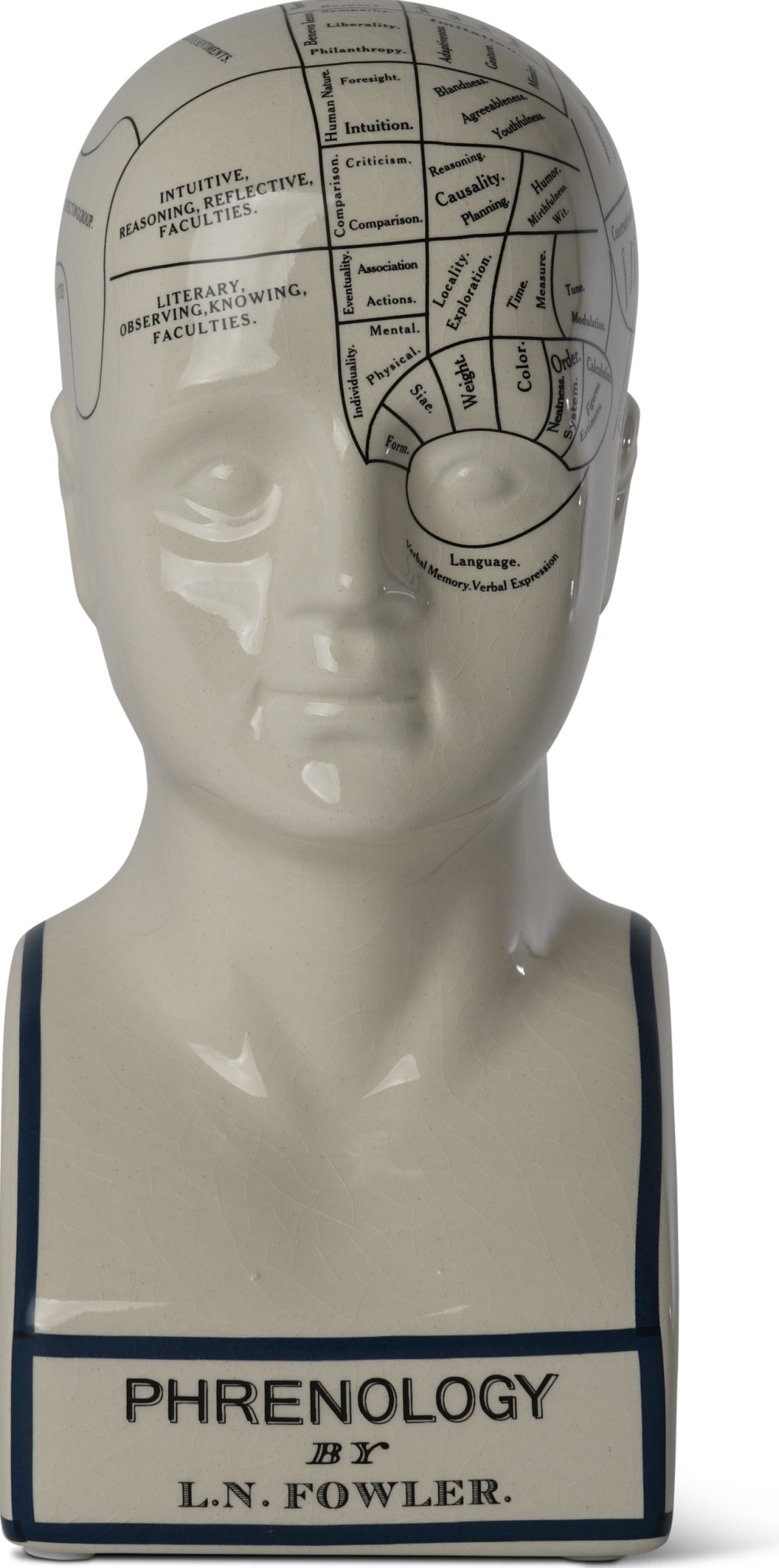 Authentic Models Phrenological Head, Small